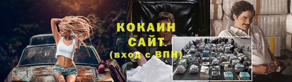 стаф Вяземский