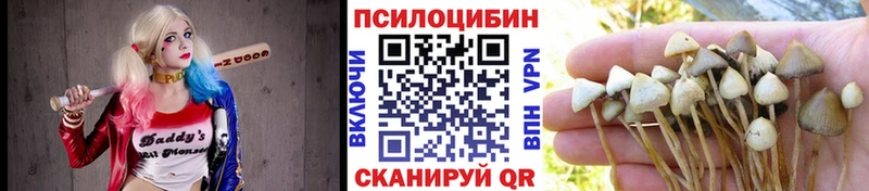 дарк нет какой сайт  Мариинск  Псилоцибиновые грибы мухоморы  купить наркоту 